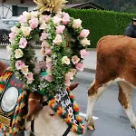 Eberharter Conny * Zell am Ziller