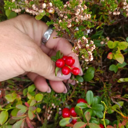 Apartment Eberharter Conny *