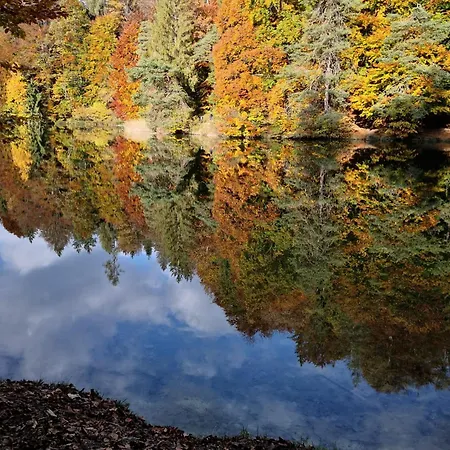 Eberharter Conny Apartment Zell am Ziller