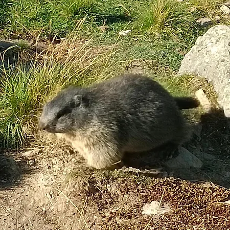 公寓 Eberharter Conny *