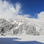 Eberharter Conny * Zell am Ziller