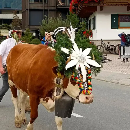Eberharter Conny Lägenhet